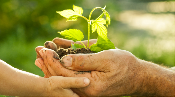 [+]  Educação Ambiental